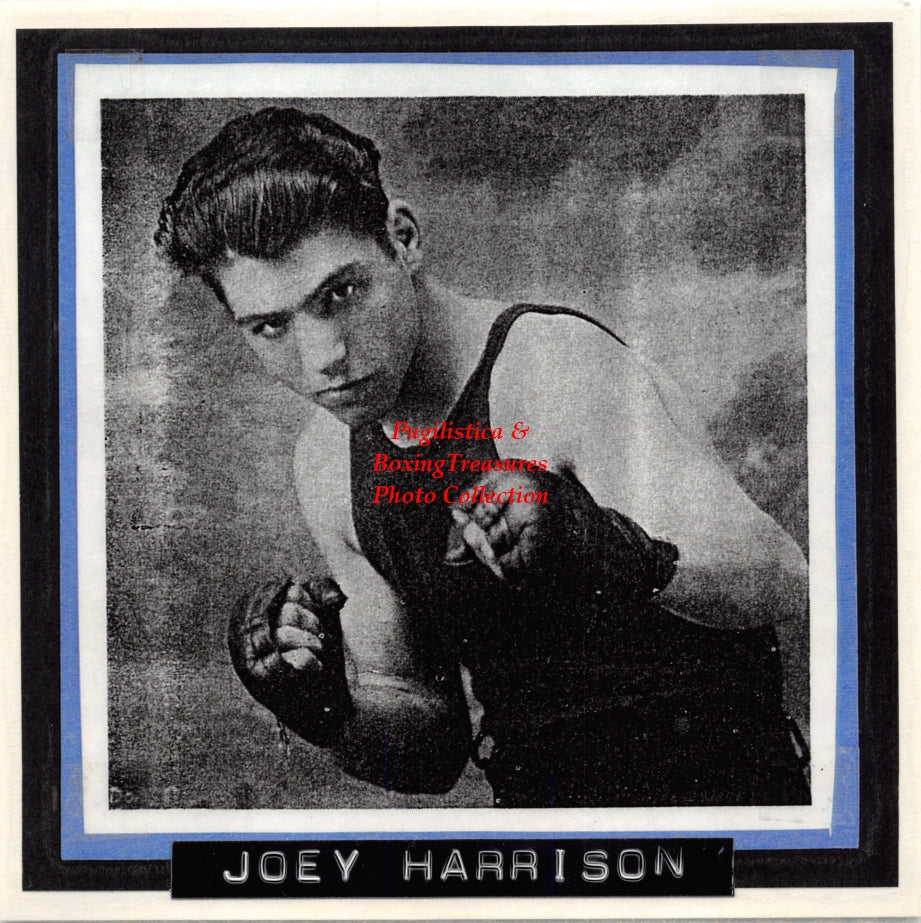 Boxing Photo #1419 - Joey Harrison