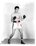Boxing Photo #147 - Joey Giambra