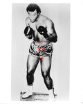 Boxing Photo #150 - George Foreman