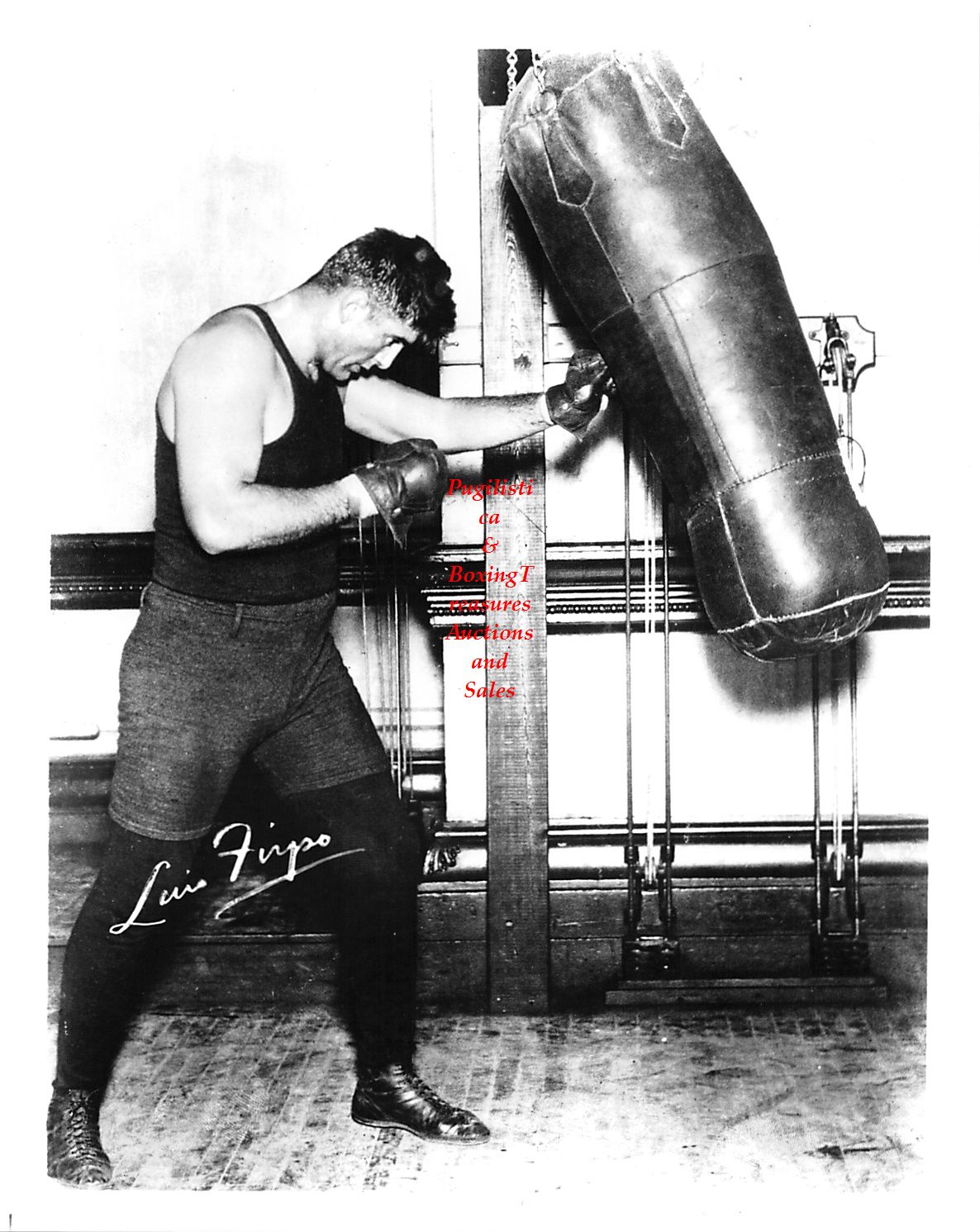 Boxing Photo #154 - Luis Angel Firpo