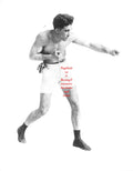 Boxing Photo #155 - Johnny Dundee