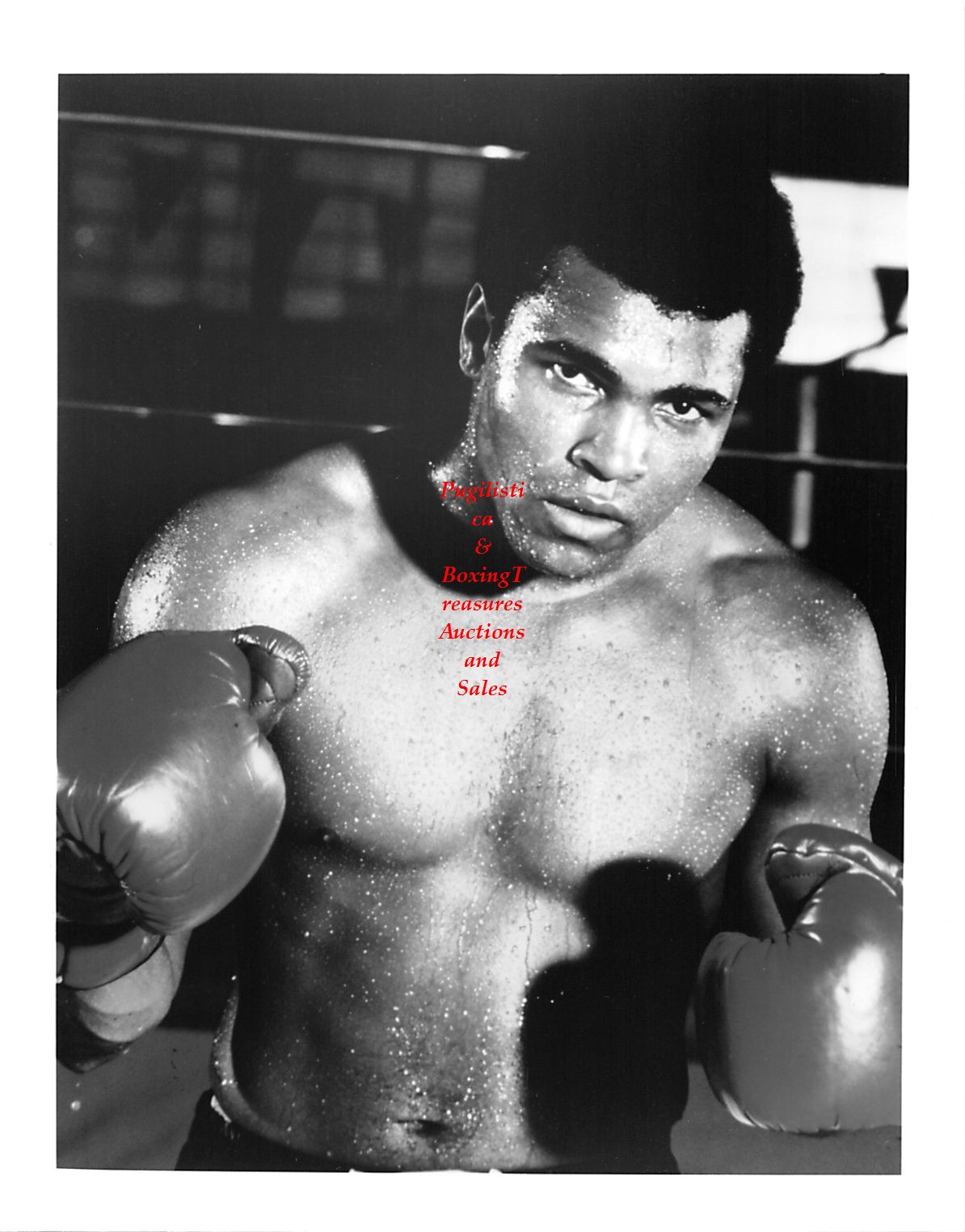Boxing Photo #165 - Muhammad Ali