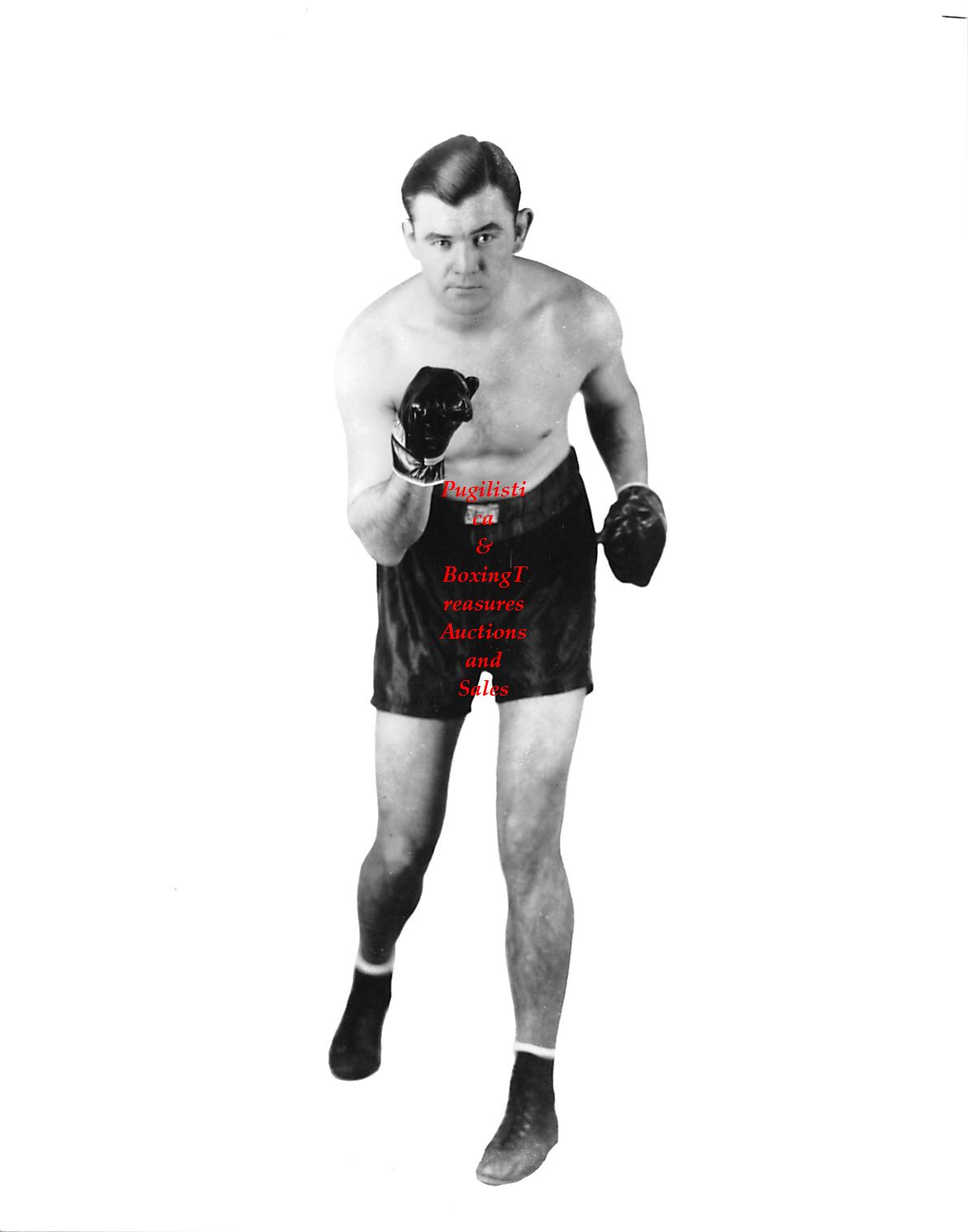 Boxing Photo #168 - Jim Braddock