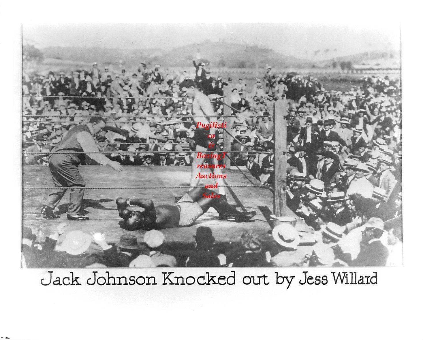 Boxing Photo #174 - Jack Johnson vs. Jess Willard