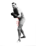 Boxing Photo #178 - Jess Willard