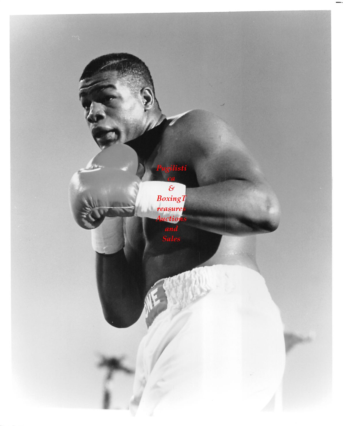 Boxing Photo #180 - Riddick Bowe