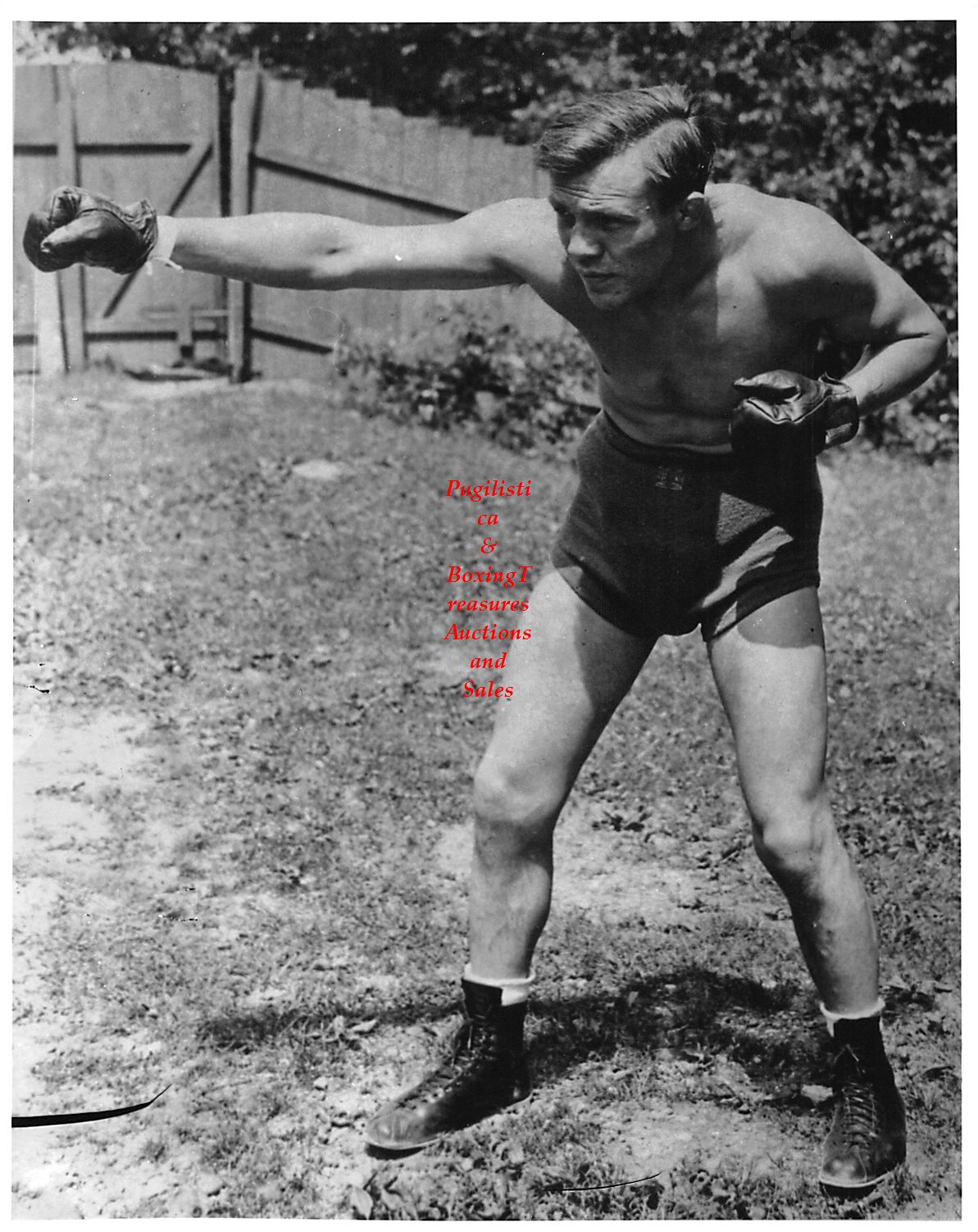 Boxing Photo #207 - Lou Ambers