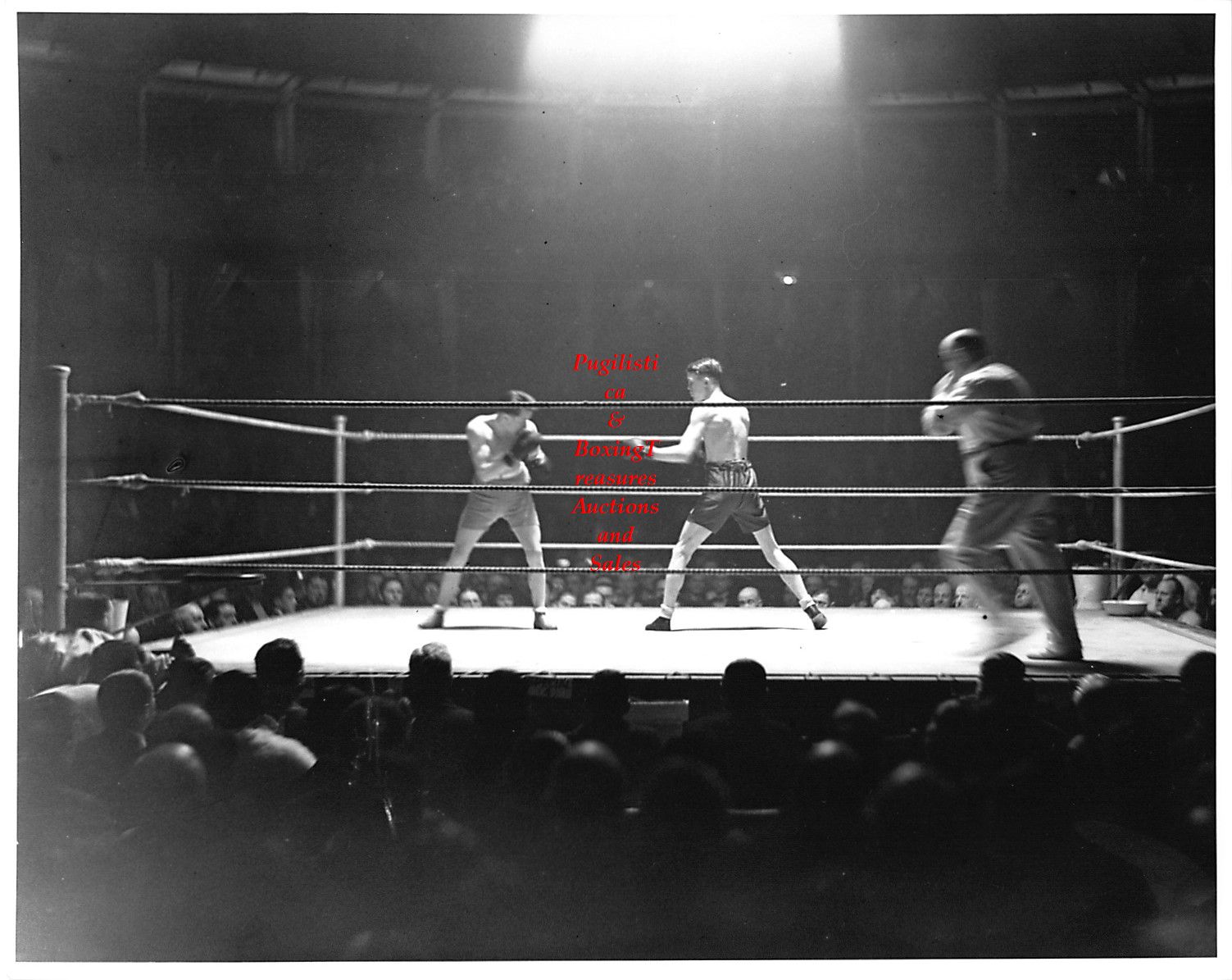 Boxing Photo #213 - Teddy Baldock vs. Emile Pladner