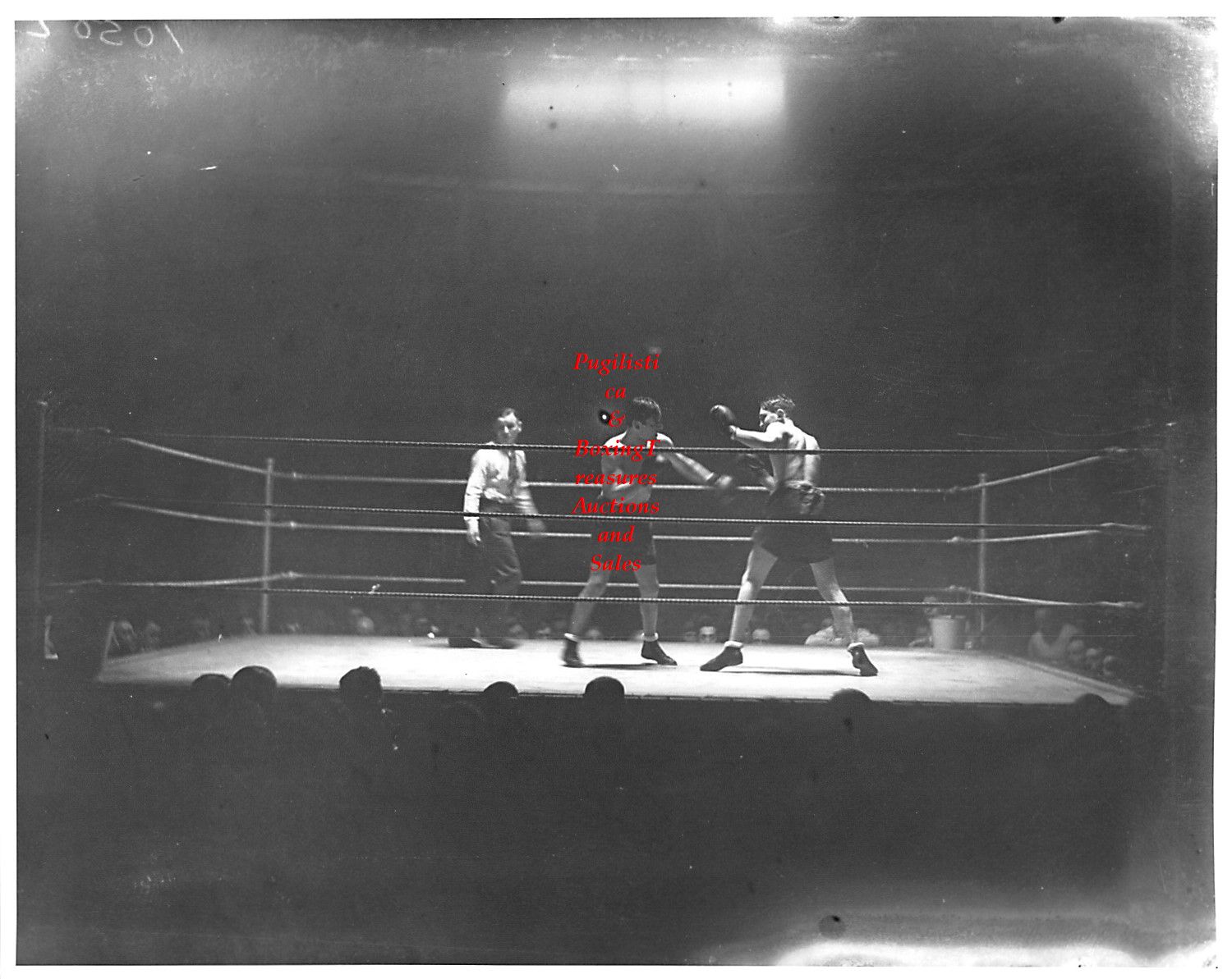 Boxing Photo #218 - Jack Kid Berg vs. Mushy Callahan