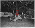Boxing Photo #226 - Marcel Cerdan