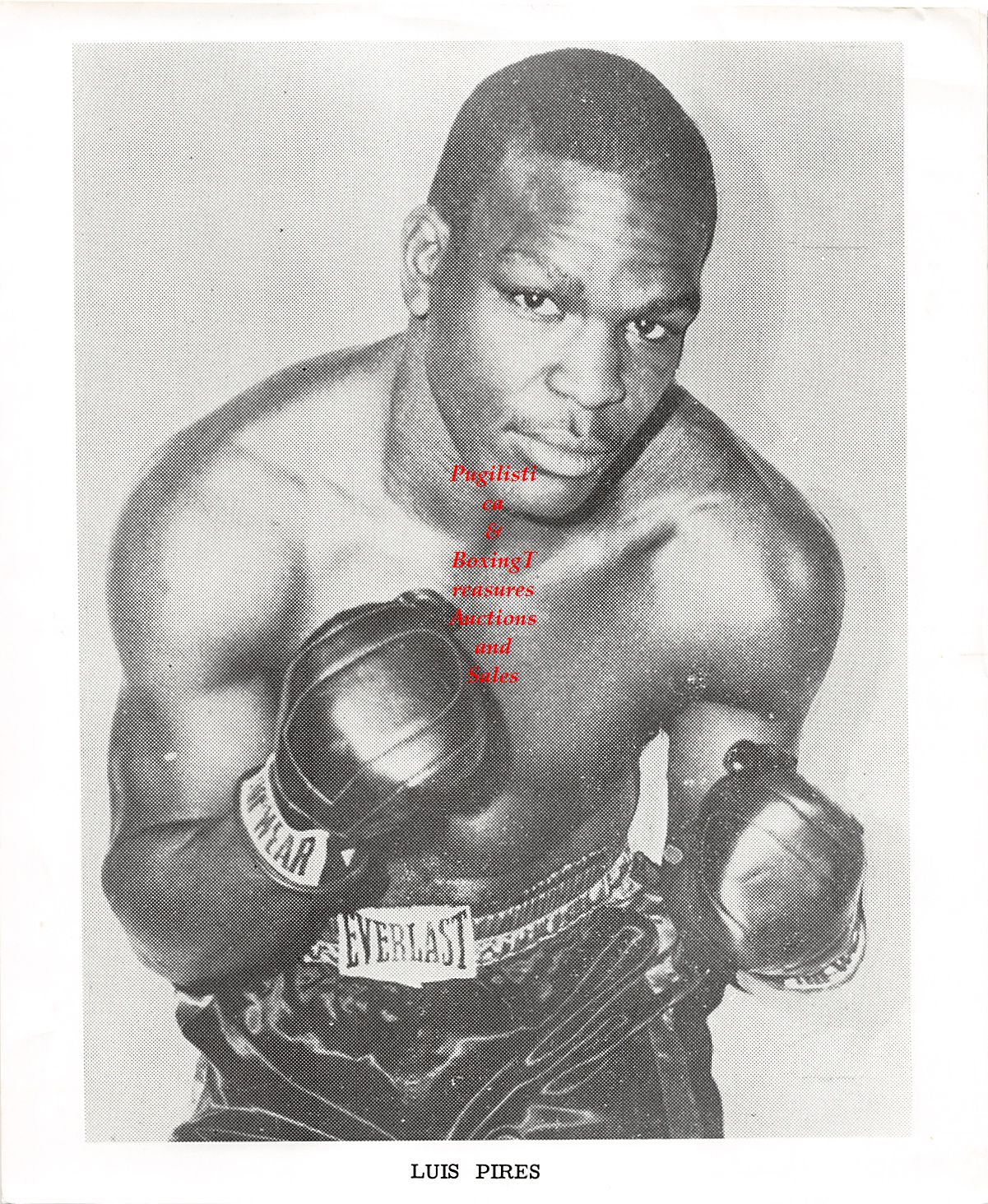 Boxing Photo #24 - Luis Pires