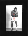 Boxing Photo #247 - Teddy Redtop Davis