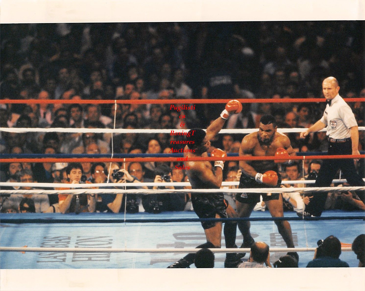 Boxing Photo #27 - Mike Tyson vs. Trevor Berbick