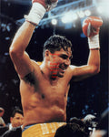 Boxing Photo #28 - Oscar De La Hoya