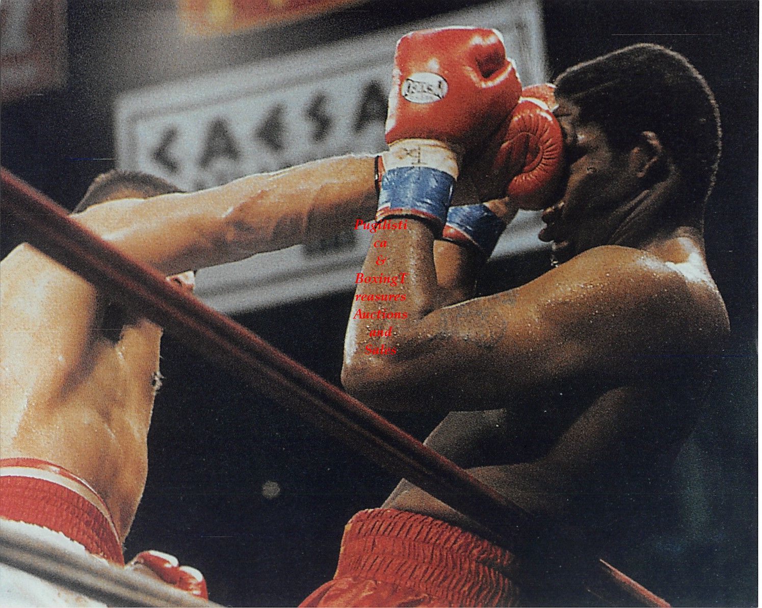 Boxing Photo #29 - Andrew Golota vs. Riddick Bowe