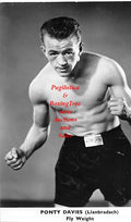 Boxing Photo #441 - Ponty Davies