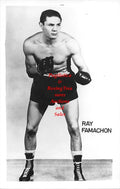 Boxing Photo #455 - Ray Famechon