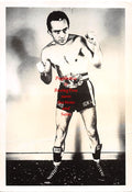Boxing Photo #548 - Mario D'Agata