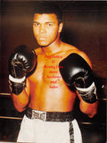 Boxing Photo #644 - Muhammad Ali
