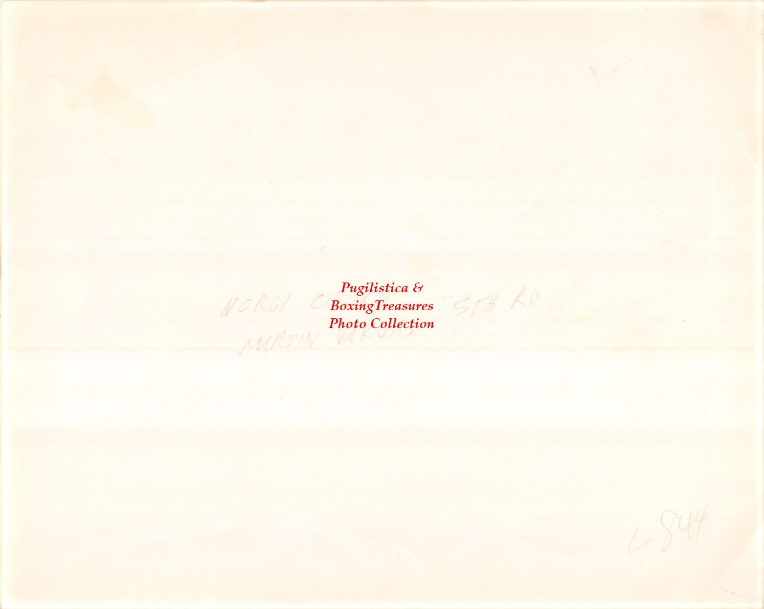 Boxing Photo #783 - Norgie Castro vs. Martin Vargas, Miami, Florida