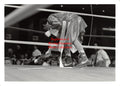 Boxing Photo #797 - Gilbert Davila and Sugar Ray Leonard