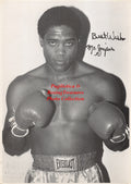 Boxing Photo #812 - Renaldo Snipes