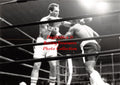 Boxing Photo #835 - Dwight Muhammad Qawi vs. James Salerno, Miami, Florida