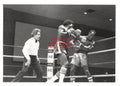 Boxing Photo #884 - Leroy Hester vs. Ronnie Robinson