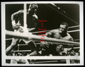 Boxing Photo #93 - Buster Douglas vs. Mike Tyson