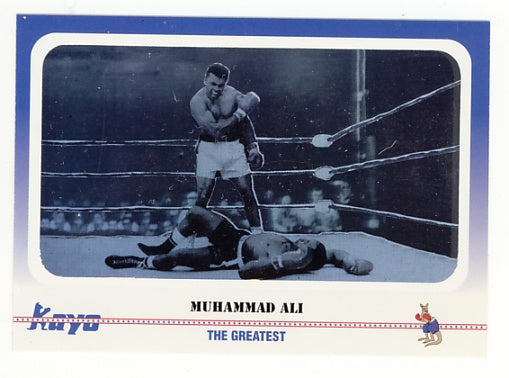 1991-92 Kayo Boxing Cards Unopened Wax Box (36 Packs ) Rookie Cards of ROY JONES JR., LENNOX LEWIS, ARTURO GATTI and more