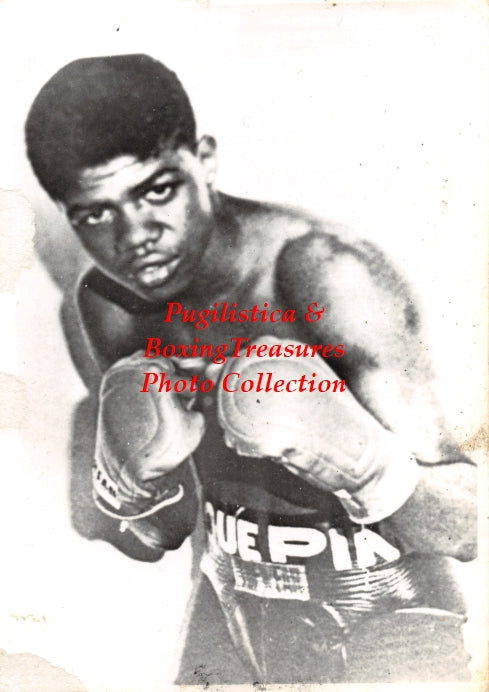 Boxing Photo #757 - Enrique Pinder