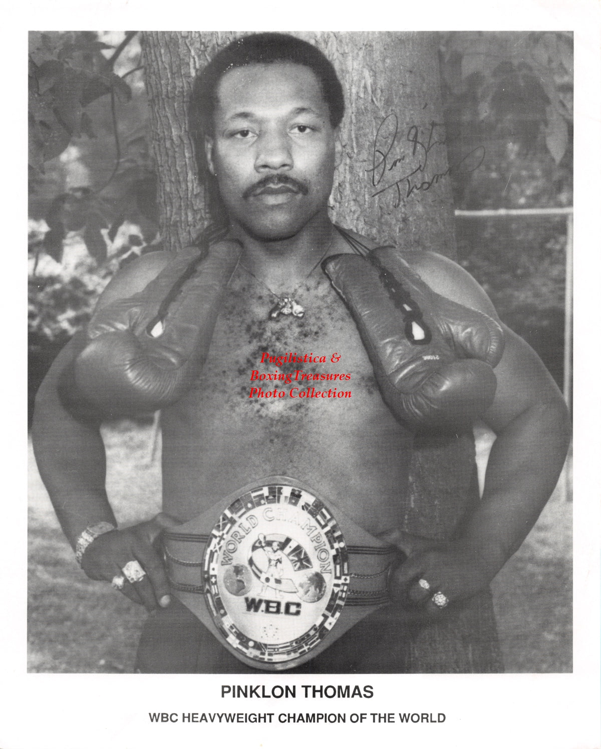 Boxing Photo #848 - Pinklon Thomas