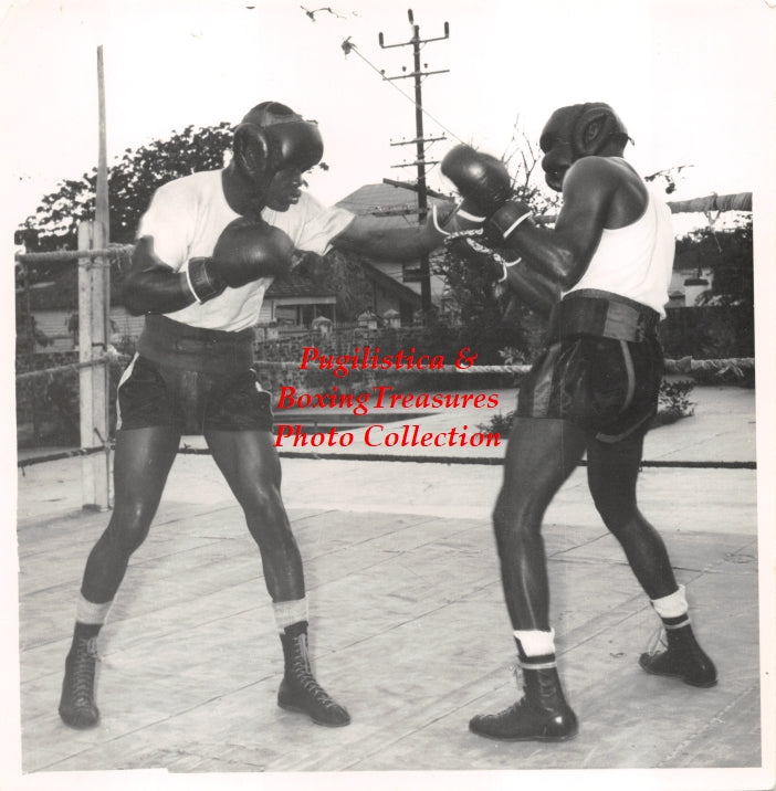 Boxing Photo #773 - c. 1960 Unidentified Sparring Mates - Vintage Photo