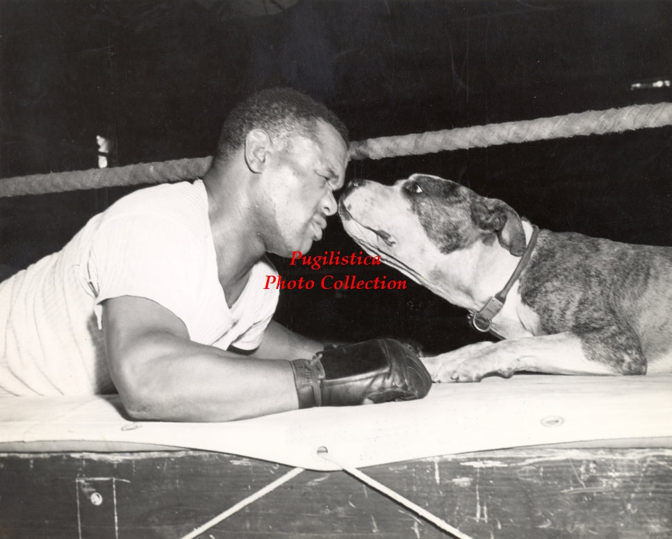 Ossie "Bulldog" Harris - 17x11 Boxing Photograph
