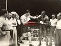Primo Carnera vs. George Godfrey - 17x11 Boxing Photograph