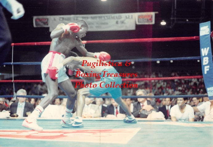 Boxing Photo #1027 - Rafael Ortega vs. Lunga Dundu