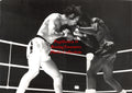 Boxing Photo #1038 - Les Pearson vs. Pat Thomas