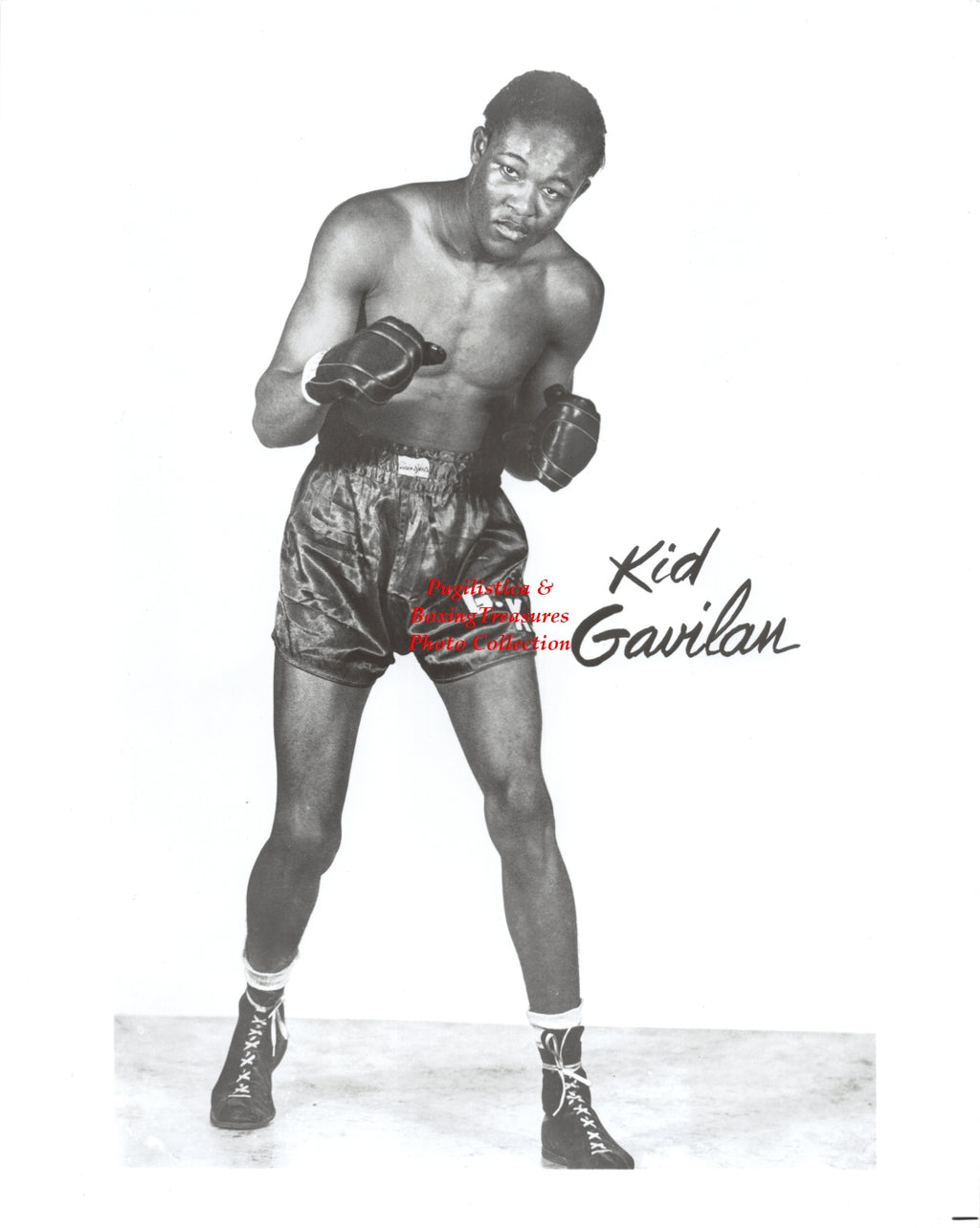 Boxing Photo #1267 - Kid Gavilan