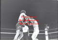 Boxing Photo #993 - Sugar Baby Rojas vs. Gabriel Sepulveda
