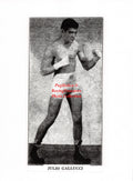 Boxing Photo #1425 - Julio Gallucci "Johnny Drake"