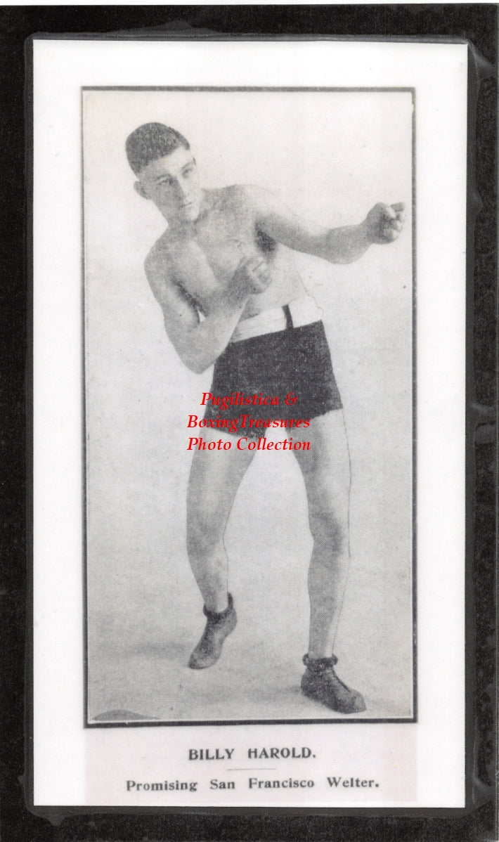 Boxing Photo #1423 - Billy Harold