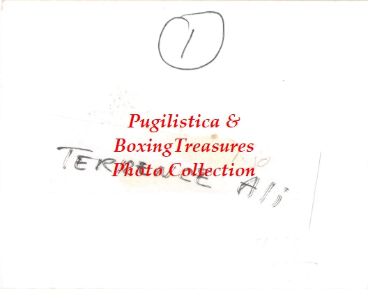 Boxing Photo #1164 - Terrence Alli