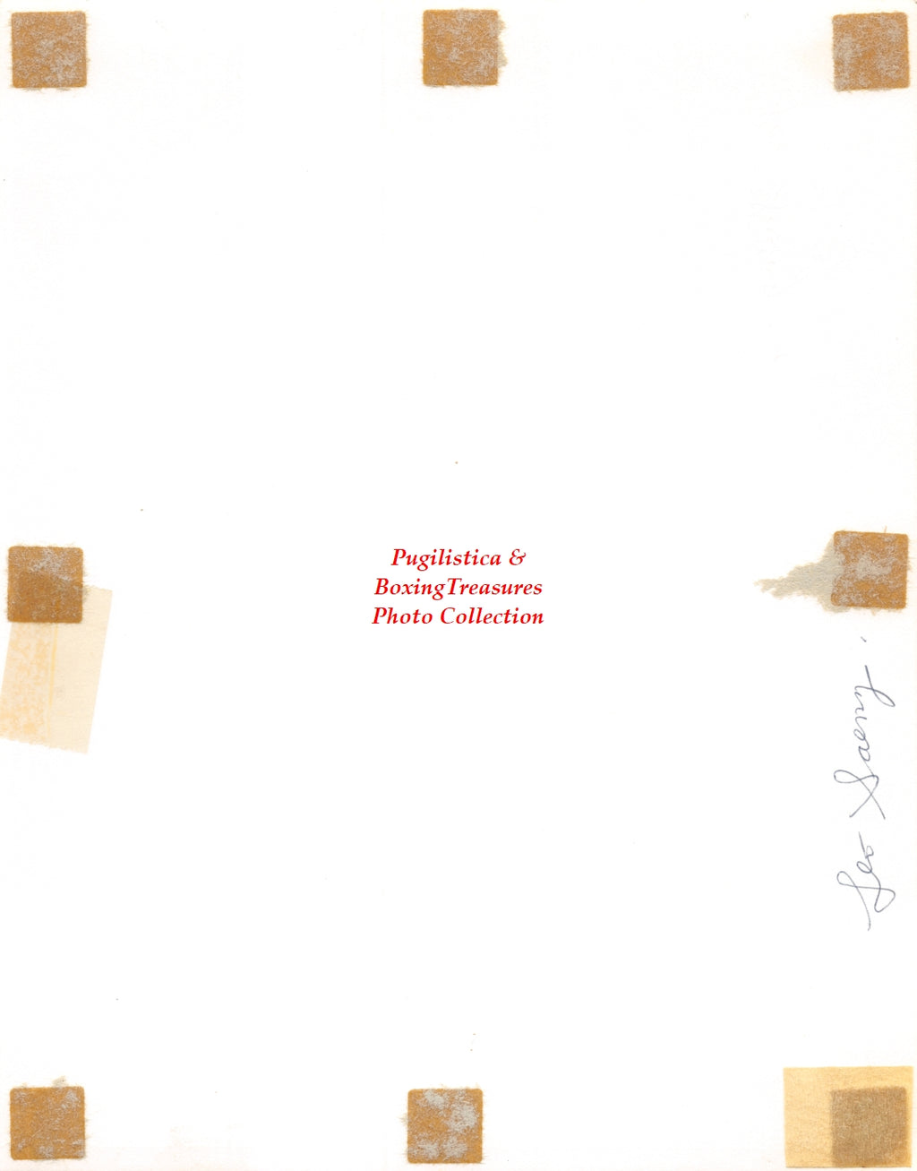 Boxing Photo #1222 - Leo Saenz