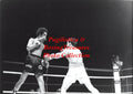 Boxing Photo #995 - Sugar Baby Rojas vs. Gabriel Sepulveda