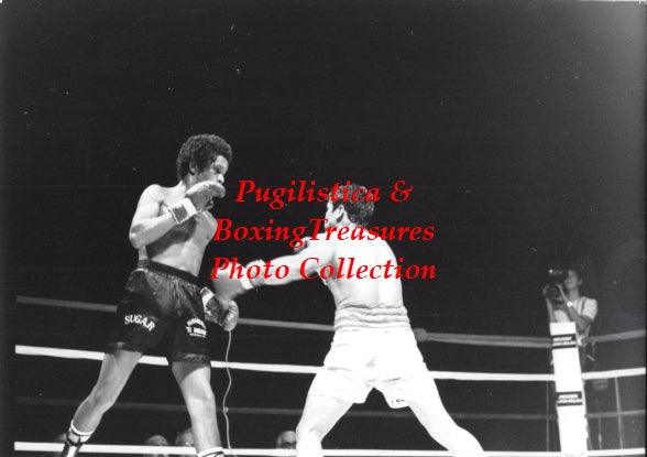 Boxing Photo #995 - Sugar Baby Rojas vs. Gabriel Sepulveda