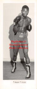 Boxing Photo #996 - Sugar Cliff