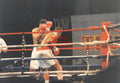 Boxing Photo #1339 - Larry Holmes vs. Ray Mercer 1992 Vintage Snapshot Photograph