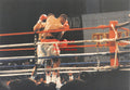 Boxing Photo #1333 - Larry Holmes vs. Ray Mercer 1992 Vintage Snapshot Photograph