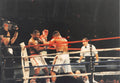 Boxing Photo #1335 - Larry Holmes vs. Ray Mercer 1992 Vintage Snapshot Photograph