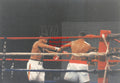 Boxing Photo #1367 - Larry Holmes vs. Ray Mercer 1992 Vintage Snapshot Photograph